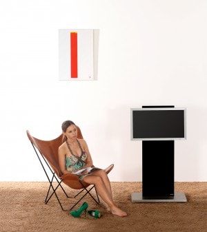 Wissmann Art 135